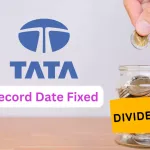 tata consumer dividend